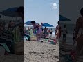 Massive swarm of dragonflies invades beach in Rhode Island