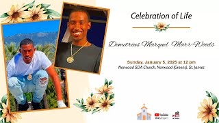 Celebrating the Life of Demetrius Marquel  Marr-Woods