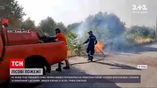 Новини світу: у Греції через пожежі евакуювали п'ять сіл та туристів із кількох тамтешніх пляжів