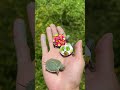 The hard turtle was blasted into pieces |Chinese Mountain Forest Life And Food #MoTiktok #Fyp