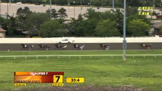 Meadowlands Baby Race #7 - June 27, 2015 - Zlatan