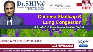 Dr.SHIVA™: Skullcap on Lung Health @CytoSolve® Systems Analysis(3/22)