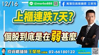 2024/12/16  上櫃連跌7天?個股到底是在弱甚麼  王榮旭分析師