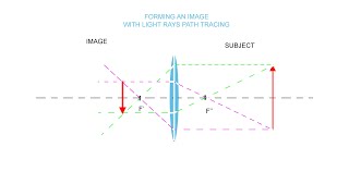 Macro photography light path tracing