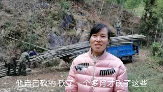 冬笋大年，农村老人却把竹子砍了卖400元一吨，独自砍两个月