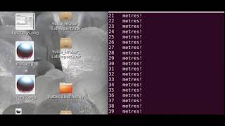 Stone on the Line Verlet Simulation