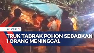 Truk Padi Tabrak Pohon Sebabkan 1 Orang Meninggal di Bakauheni