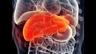 Pediatric Fatty Liver Disease: An Update