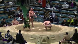 大清峰-琴太豪/2017.3.14(19)/daiseiho-kotodaigo/day3 #sumo