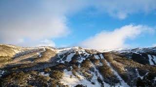 20cm of Fresh Snow Overnight!