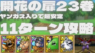 【ドラクエタクト】開花の扉23巻　ヤンガス入り　運要素無しで超安定11ターンクリア