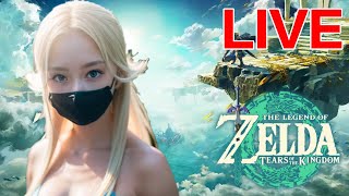 The Legend of Zelda: Tears of the Kingdom LIVE #49 前往鼓隆城｜薩爾達傳說 王國之淚｜ゼルダの伝説　ティアーズ オブ ザ キングダム