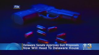 Delaware Senate Approves Democratic Gun Safety Bills