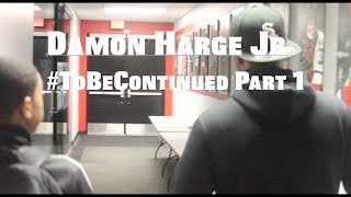 Damon Harge #ToBeContinued Part 1 (feat Workouts with KP and off the court grind!!)