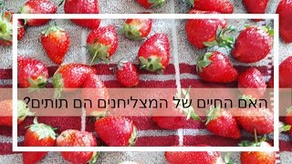 מהם 4 המפתחות המוכחים להצלחה שלך - גריט פרק II