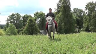 South Estonian Cowboy