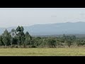 VIEW OF ABARDARE RANGES FROM A DESERT VILLAGE IN KENYA,AFRICA