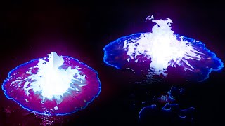 Liquid Fire Spreading Over Pond in Slow Motion | TL Slow Motion 4K