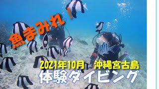 宮古島初心者体験ダイビング　ビーチエントリー