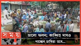 চাঁদাবাজির হাত থেকে রেহাই মেলেনি ব্যবসায়ীদের | Vegetable Market | Jessore News | Business | Somoy TV