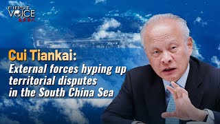 Cui Tiankai: External forces hyping up territorial disputes in South China Sea