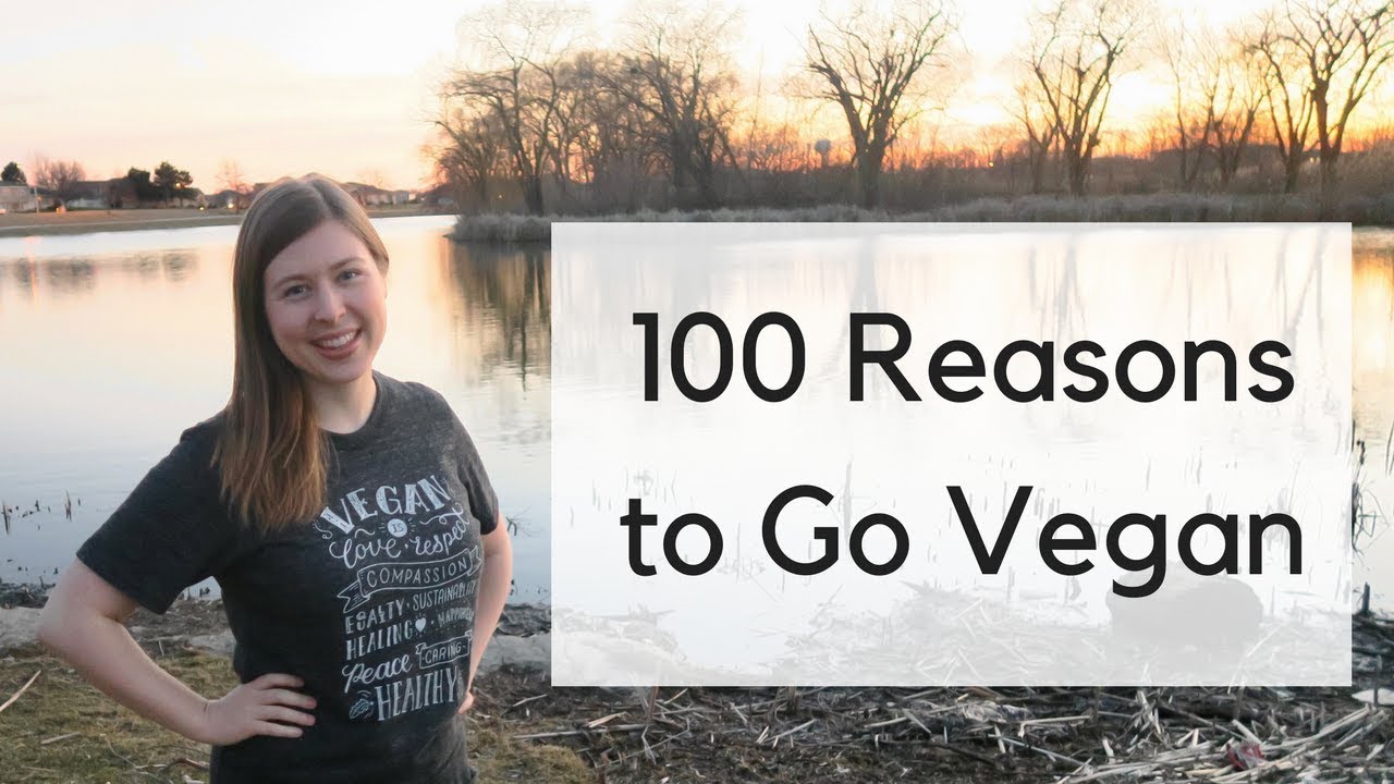 100 Reasons To Go Vegan In 11 Minutes Benefits Of Going Vegan 100 Reasons To Go Vegan In 11 Minutes Benefits Of Going Vegan