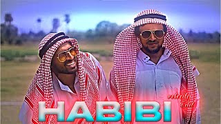 Round 2 hell || Habibi cricket video||  @round2hell || part 1