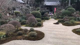 おんな城主直虎 ゆかりの地 龍潭寺 井伊直虎