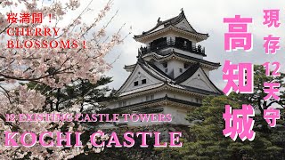 2022【4K】高知城で桜満開 KOCHI CASTLE CHERRY BLOSSOMS 高知城櫻花盛開