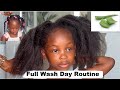 DO THIS IF YOU WANT YOUR HAIR TO GROW. GUARANTEED HAIR GROWTH full Washday Routine + Growth Regimen