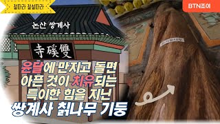 윤달에 만지고 돌면 아픈 것이 치유되는특이한 힘을 지닌쌍계사 칡나무 기둥ㅣ논산 쌍계사ㅣ 절따라 전설따라 3편