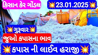 આજના કપાસ ના ભાવ | કપાસ ના બજાર ભાવ | cotton crop price | aaj na kapas na bhav Gondal 23/01/2025