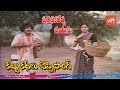 Padaharella Vayasu Movie HD Songs | Kattukathalu cheppi nenu Naviste Song | Sridevi | YOYO TV Music