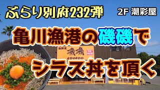 【ぶらり別府232】亀川漁港の磯磯でシラス丼を頂く　BEPPU