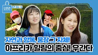 자연과 함께, 웅장 그 자체! 아프리카 힐링의 중심! 우간다, 그리고 수도 캄팔라!  [오픈런 EP.64-4]