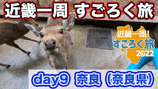 【近畿一周すごろく旅 day9】目的地は奈良（奈良県）！高野山金剛峯寺をクリアしてから、奈良公園で鹿に囲まれる・・・【だーちーのベタ旅】