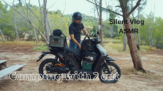 Cắm trại với hai chú mèo ở bãi biển Hồ Cốc | Silent Vlog