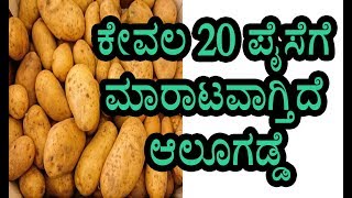 ಕೇವಲ 20 ಪೈಸೆಗೆ ಮಾರಾಟವಾಗ್ತಿದೆ ಆಲೂಗಡ್ಡೆ || 20 Paise For 1 KG Potato Kannada Health Tips \u0026 News