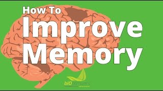 How To Improve Memory & The Best Ways To Study (Superlearning & Speed Reading Techniques)