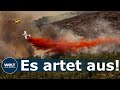 EXTREME FEUER IN SPANIEN: Mehr als 10.000 Hektar Wald in Valencia abgebrannt