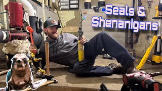 Circulator Seals Can Suck But This Video Was Fun To Watch...Trust Me ...