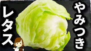 【調味料３つだけ！】ほぼ１分でできる！『超やみつきレタス』の作り方Lettuce that you can eat a lot