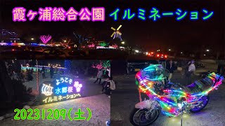 【いばさんぽ 霞ヶ浦総合公園】茨城県土浦市　霞ヶ浦総合公園の水郷桜イルミネーションを見て来ました。　令和5年12月9日(土)