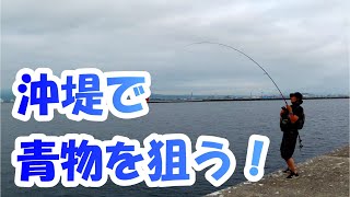 久々の函館沖堤で青物を狙う！【釣りん子だべさ】