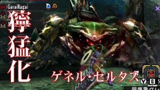 【MHXX実況#25】太刀・ブシドー：集会所☆7：獰猛化ゲネル・セルタス【モンハンダブルクロス】