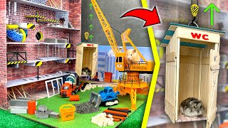 Construction crane lifted a hamster 🐹 Building a house DIY