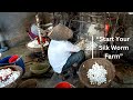 How To Start Silk Farming - Complete Guide | Sericulture Process (From Worm Selection to Marketing)