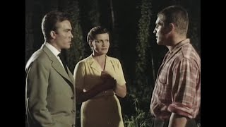 Heisse Ernte (1956) · Heimatfilm-Drama von Hans König mit Edith Mill, Maria Sebaldt u. Erik Schumann