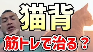 【山岸秀匡】姿勢矯正に効果あり？筋トレは猫背を治すのか【切り抜き】