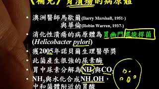 10601高三選修生物ch6 1 06補充胃潰瘍的病原體 胃幽門螺旋桿菌三捷